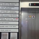 도노포레스타 이미지