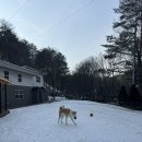 스팅펜션