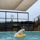 디제이 뭉 이미지