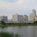 스타팰리스 이미지