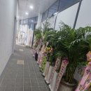 군산피부관리 오픈날 방문한 후기 [ 탑뷰티 ]