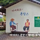 아이리스촌캉스 이미지