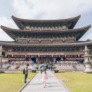 약천사 제주 동양 최대 절 완벽체험
