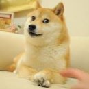 COIN 이미지