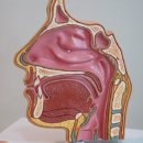 코모코한의원 이미지