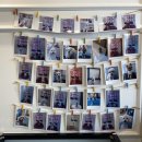 도그의 품격 이미지