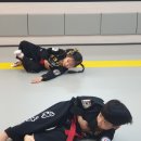 뜨란채약국 이미지