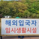 느티나무야영장 이미지