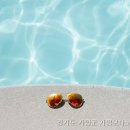 가평모나코애견펜션 | 가평모나코애견펜션 경기도 펜션, 안 가면 후회할 특별한 경험