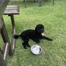 첨단과기로 이미지