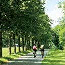 동탄신도시보행자도로 이미지