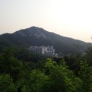 생태다리 이미지