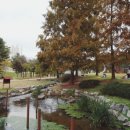 구갈레스피아 게이트볼장 이미지