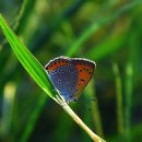 고수부지 이미지