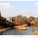 백야 Daum카페