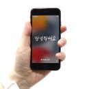 디자인 애플 이미지