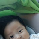 쭈니쭈니