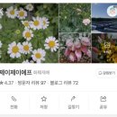 11650-1-10-640 | 제주도 가성비 부케 셀프 제작 후기｜모니카네생화직판장 가격·준비물·퀄리티 총정리