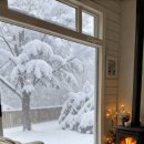 아이피부 이미지