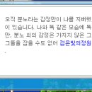 오르비스 - 서천군 삼산남길 66 | 오르비스