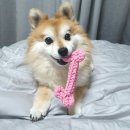 취미로 즐기는 나만의 홈카페 이미지