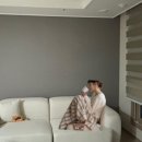 리나리빙 이미지