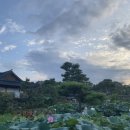 덕운포차