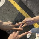 리프컵스 이미지