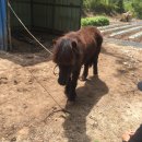 유평농장 이미지