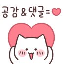 명동머드 이미지