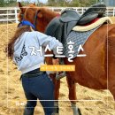 제주도 승마 체험 ‘저스트홀스’ 솔직 후기