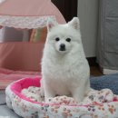 율전동물병원 이미지