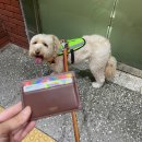 범천2동 서면지구대 맞은편 | 결국 겨울이 되어서야 쓰고만 8월 일상...