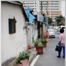 오십미리