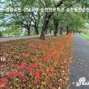 거차뻘배체험장 이미지