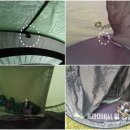 (주)뉴메가 | ★원터치텐트 패스트캠프 뉴메가5인 올리브그린-주말나들이필수품!!★