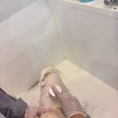 산두로펫살롱 이미지