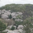 김진욱 공인중개사사무소 이미지