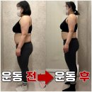 다인핏 네이버블로그