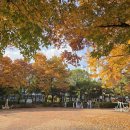 옥산2근린공원(중산근린공원) 이미지