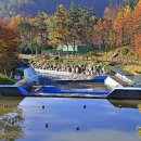 흑석산자연휴양림 이미지