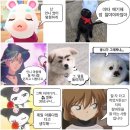 국수궁전 이미지