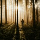 KS국제 행정사사무소 이미지