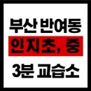 포커스공인중개사사무소 이미지