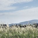 서천공원 이미지