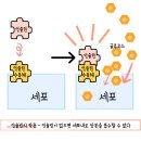 삼송동물병원 이미지