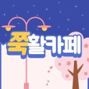 인투디 이미지