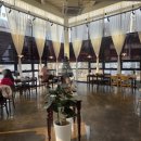 삼가동 | 용인 삼가동 늘화덕피자 후기, 연차 쓰고 엄마랑 점심 데이트 🍕🍕 (마르게리따피자, 해물짬뽕파스타)