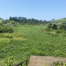 상예입구 이미지