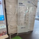 서초스포츠센터 이미지